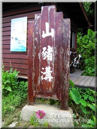 小琉球一日遊：交通方式、租車資訊、必玩景點、小吃美食 @飛天璇的口袋