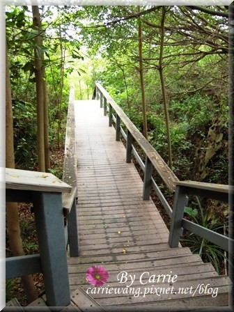 小琉球一日遊：交通方式、租車資訊、必玩景點、小吃美食 @飛天璇的口袋