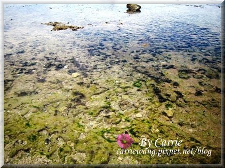 小琉球一日遊：交通方式、租車資訊、必玩景點、小吃美食 @飛天璇的口袋