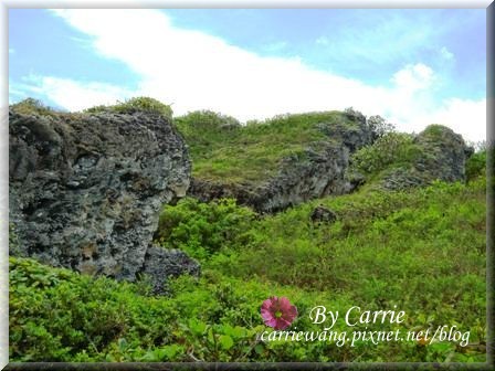 小琉球一日遊：交通方式、租車資訊、必玩景點、小吃美食 @飛天璇的口袋
