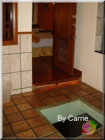 【馬來西亞】禮晶水上屋渡假村．The Legend Water Chalets @飛天璇的口袋