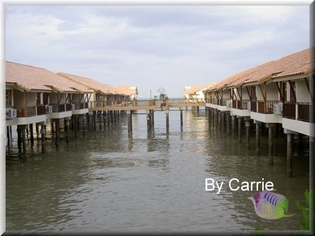 【馬來西亞】禮晶水上屋渡假村．The Legend Water Chalets @飛天璇的口袋