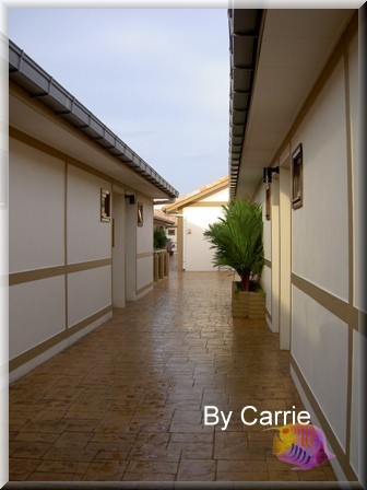 【馬來西亞】禮晶水上屋渡假村．The Legend Water Chalets @飛天璇的口袋