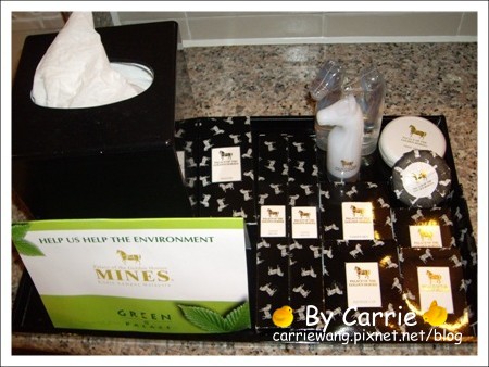 【馬來西亞】馬來西亞金馬皇宮．Palace Of The Golden Horses @飛天璇的口袋