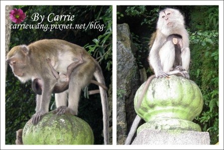 【馬來西亞】吉隆坡．愛情魔法水上屋 Day3 @飛天璇的口袋