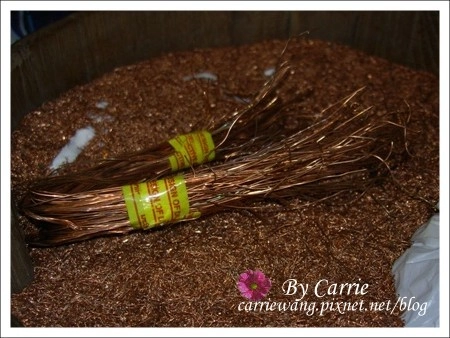 【馬來西亞】吉隆坡．愛情魔法水上屋 Day3 @飛天璇的口袋