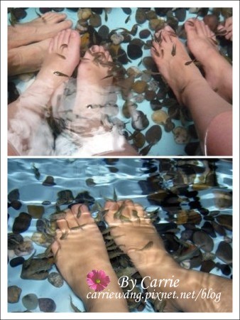 【馬來西亞】吉隆坡．愛情魔法水上屋 Day3 @飛天璇的口袋