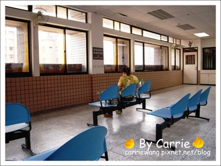 【台北旅遊】高鐵木柵動物園．故宮博物院一日行 @飛天璇的口袋