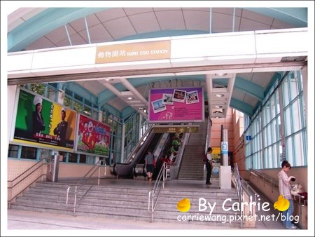 【台北旅遊】高鐵木柵動物園．故宮博物院一日行 @飛天璇的口袋