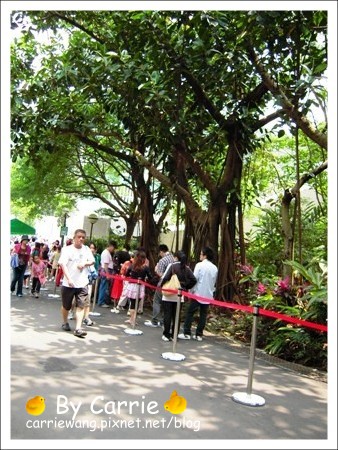 【台北旅遊】高鐵木柵動物園．故宮博物院一日行 @飛天璇的口袋