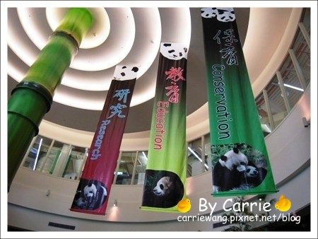 【台北旅遊】高鐵木柵動物園．故宮博物院一日行 @飛天璇的口袋