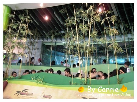 【台北旅遊】高鐵木柵動物園．故宮博物院一日行 @飛天璇的口袋