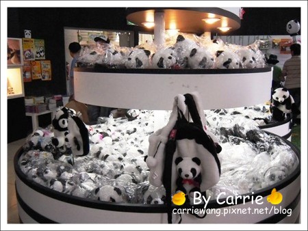 【台北旅遊】高鐵木柵動物園．故宮博物院一日行 @飛天璇的口袋