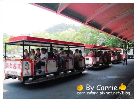 【台北旅遊】高鐵木柵動物園．故宮博物院一日行 @飛天璇的口袋