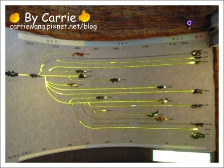 【台北旅遊】高鐵木柵動物園．故宮博物院一日行 @飛天璇的口袋