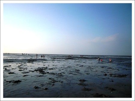 【彰化旅遊】王功漁港摸蛤仔趣 @飛天璇的口袋