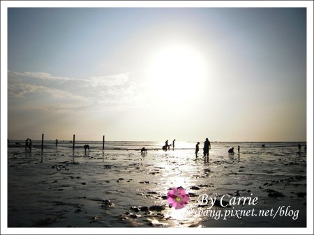 【彰化旅遊】王功漁港摸蛤仔趣 @飛天璇的口袋