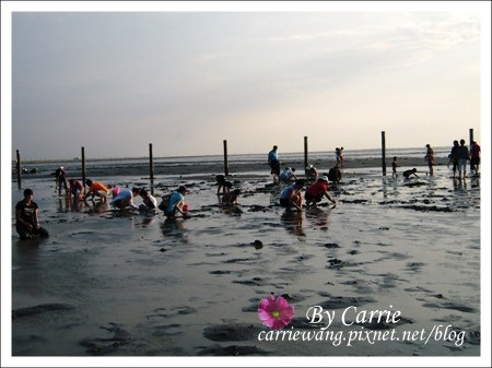 【彰化旅遊】王功漁港摸蛤仔趣 @飛天璇的口袋