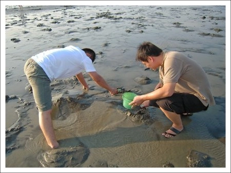 【彰化旅遊】王功漁港摸蛤仔趣 @飛天璇的口袋