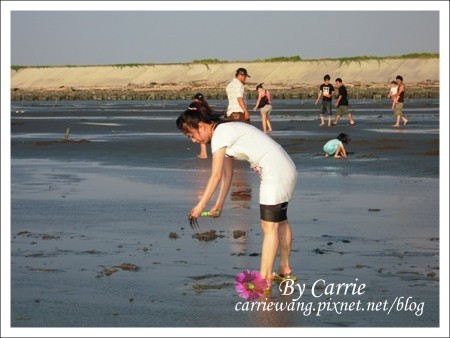 【彰化旅遊】王功漁港摸蛤仔趣 @飛天璇的口袋