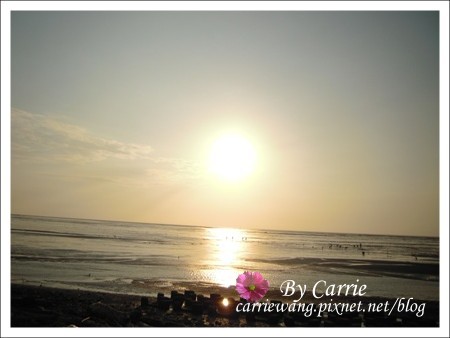 【彰化旅遊】王功漁港摸蛤仔趣 @飛天璇的口袋