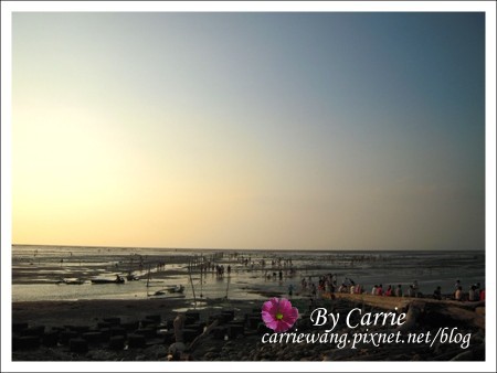 【彰化旅遊】王功漁港摸蛤仔趣 @飛天璇的口袋