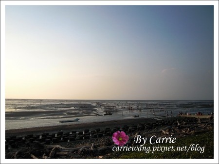 【彰化旅遊】王功漁港摸蛤仔趣 @飛天璇的口袋