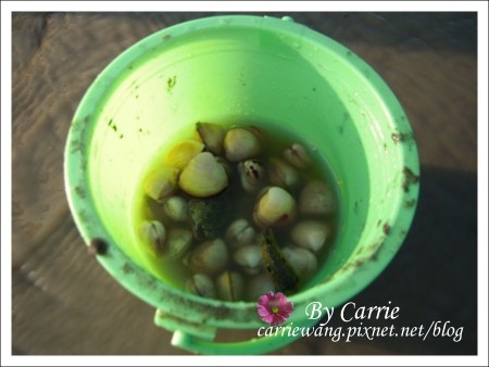 【彰化旅遊】王功漁港摸蛤仔趣 @飛天璇的口袋