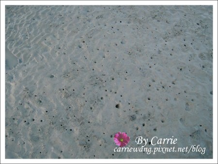 【台中旅遊】清水高美溼地 @飛天璇的口袋