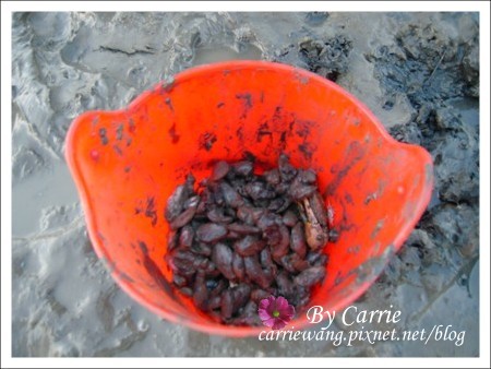 【台中旅遊】清水高美溼地 @飛天璇的口袋