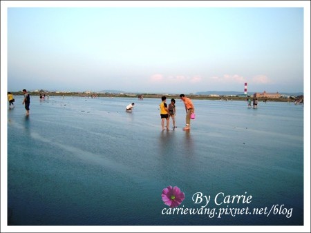 【台中旅遊】清水高美溼地 @飛天璇的口袋