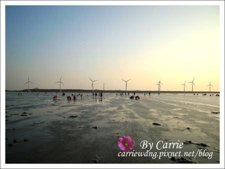 【台中旅遊】清水高美溼地 @飛天璇的口袋