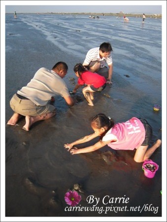 【台中旅遊】清水高美溼地 @飛天璇的口袋