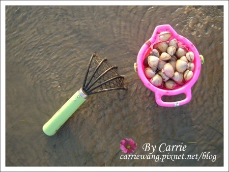 【台中旅遊】清水高美溼地 @飛天璇的口袋