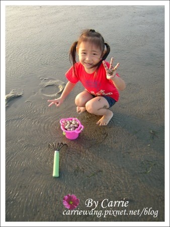 【台中旅遊】清水高美溼地 @飛天璇的口袋