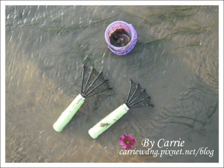 【台中旅遊】清水高美溼地 @飛天璇的口袋