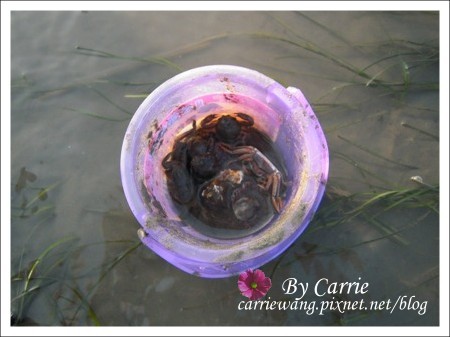 【台中旅遊】清水高美溼地 @飛天璇的口袋