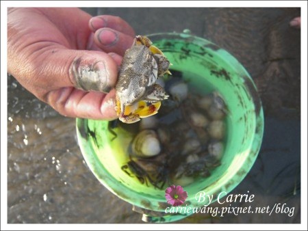 【台中旅遊】清水高美溼地 @飛天璇的口袋