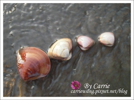 【台中旅遊】清水高美溼地 @飛天璇的口袋