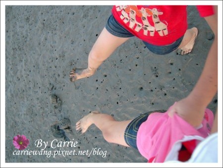 【台中旅遊】清水高美溼地 @飛天璇的口袋