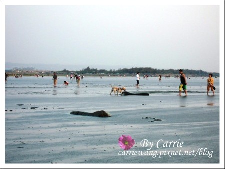 【台中旅遊】清水高美溼地 @飛天璇的口袋