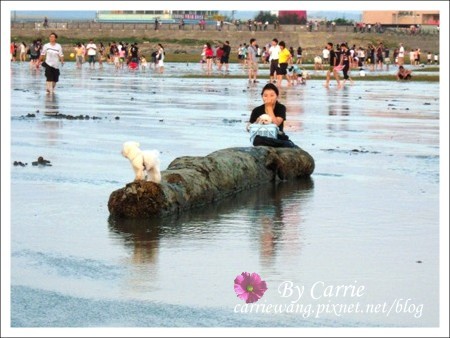 【台中旅遊】清水高美溼地 @飛天璇的口袋
