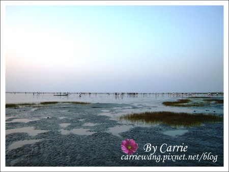 【台中旅遊】清水高美溼地 @飛天璇的口袋