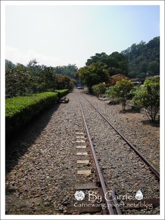 【南投旅遊】走過繁華．車埕小鎮 @飛天璇的口袋