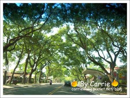 老湖麵館 牛肉麵｜南投必吃牛肉麵，中興新村小吃美食 @飛天璇的口袋