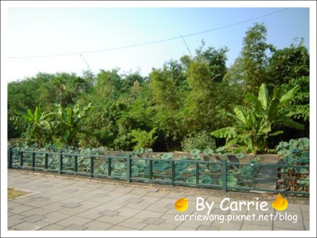 老湖麵館 牛肉麵｜南投必吃牛肉麵，中興新村小吃美食 @飛天璇的口袋