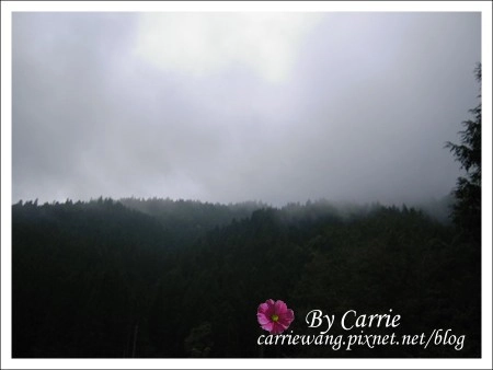 【南投旅遊】杉林溪森林遊樂區 @飛天璇的口袋