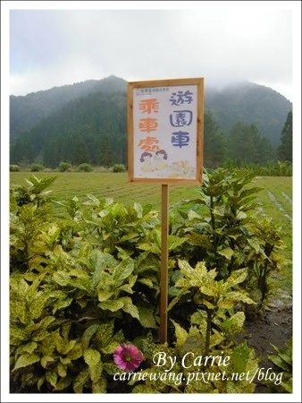 【南投旅遊】杉林溪森林遊樂區 @飛天璇的口袋