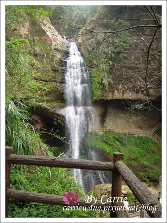 【南投旅遊】杉林溪森林遊樂區 @飛天璇的口袋