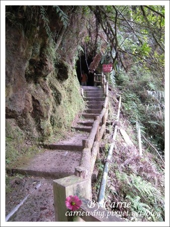 【南投旅遊】杉林溪森林遊樂區 @飛天璇的口袋